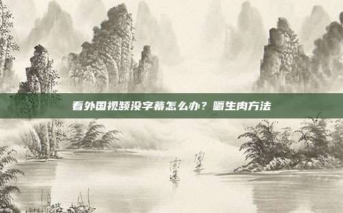 看外国视频没字幕怎么办？嚼生肉方法
