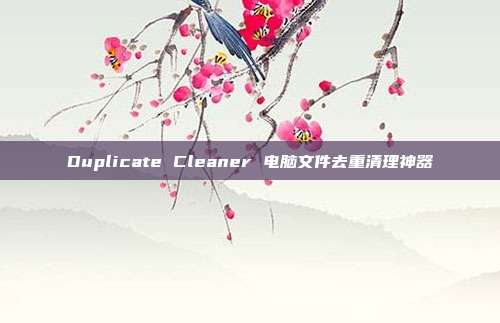 Duplicate Cleaner 电脑文件去重清理神器