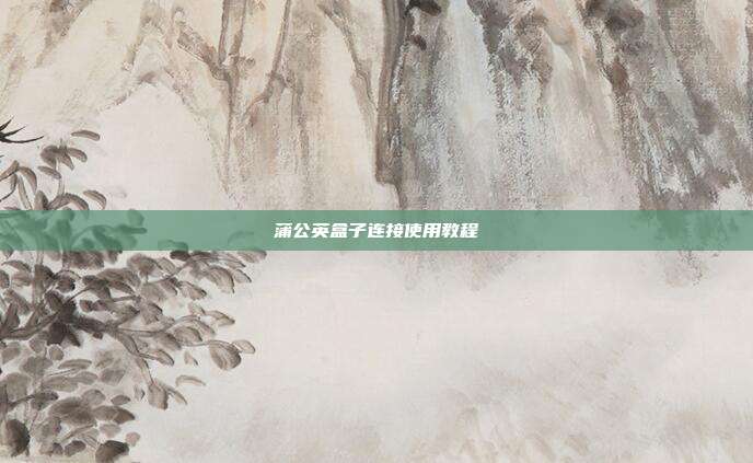 蒲公英盒子连接使用教程