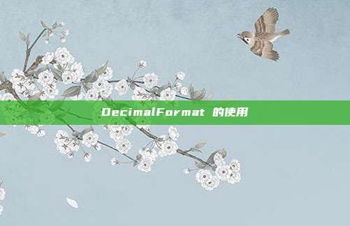 DecimalFormat 的使用