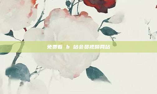 免费看 b 站会员视频网站