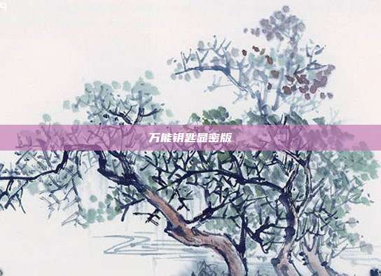 万能钥匙显密版