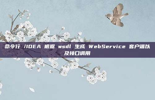 命令行 /IDEA 根据 wsdl 生成 WebService 客户端以及接口调用