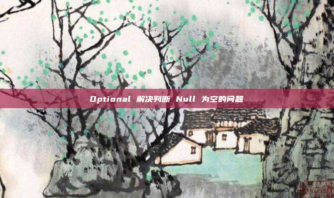 Optional 解决判断 Null 为空的问题