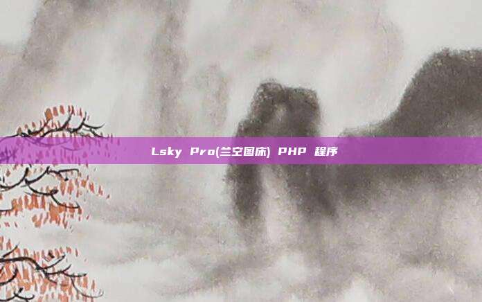 Lsky Pro( 兰空图床) PHP 程序
