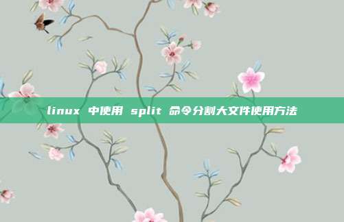 linux 中使用 split 命令分割大文件使用方法