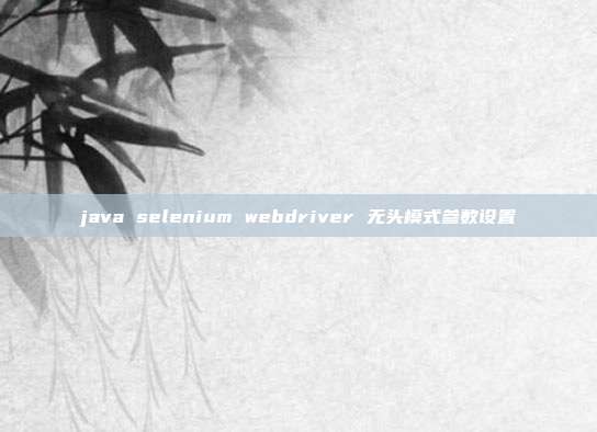 java selenium webdriver 无头模式参数设置