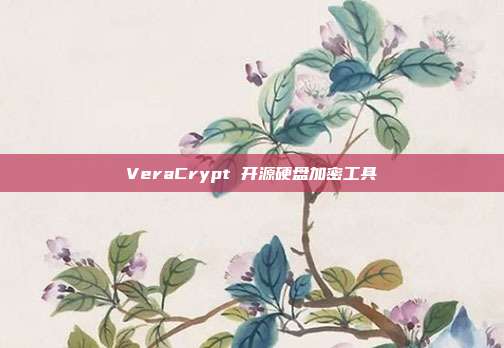 VeraCrypt 开源硬盘加密工具