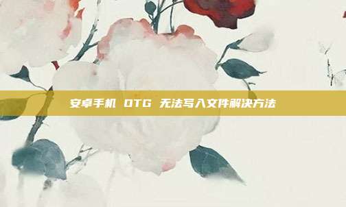 安卓手机 OTG 无法写入文件解决方法