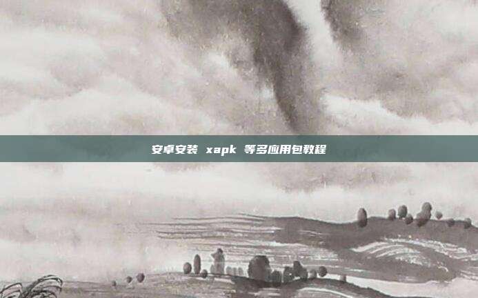 安卓安装 xapk 等多应用包教程