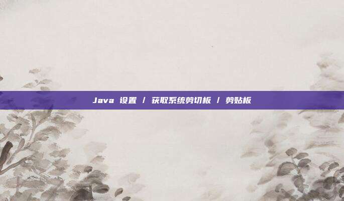 Java 设置 / 获取系统剪切板 / 剪贴板