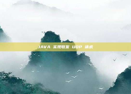 JAVA 实现收发 UDP 请求