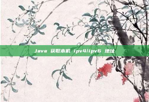 Java 获取本机 ipv4/ipv6 地址