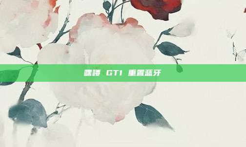 嘿喽 GT1 重置蓝牙