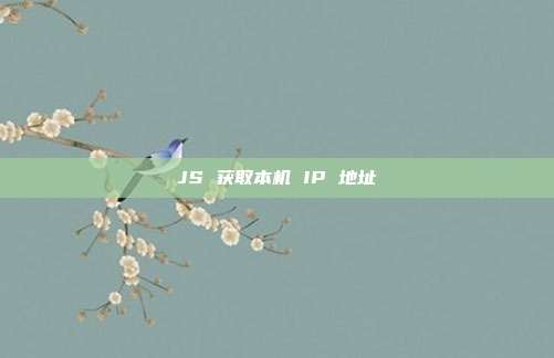 JS 获取本机 IP 地址