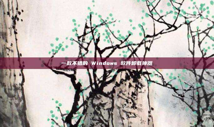 一款不错的 Windows 软件卸载神器