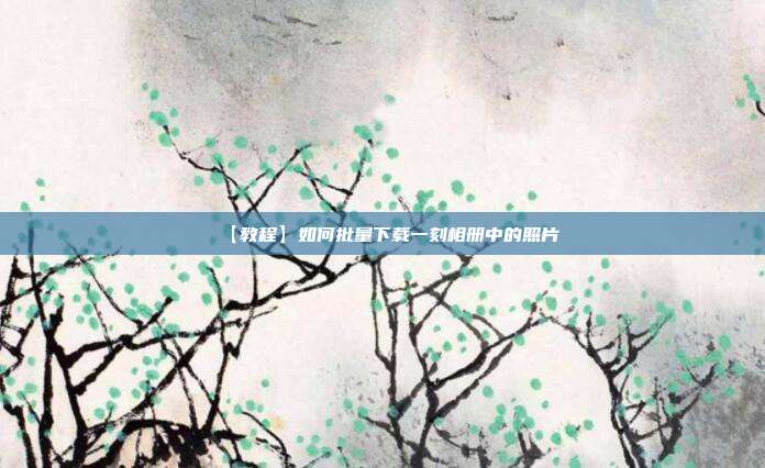 【教程】如何批量下载一刻相册中的照片
