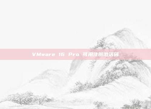 VMware 16 Pro 可用注册激活码