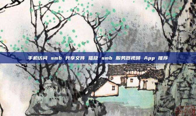 手机访问 smb 共享文件 播放 smb 服务器视频 App 推荐
