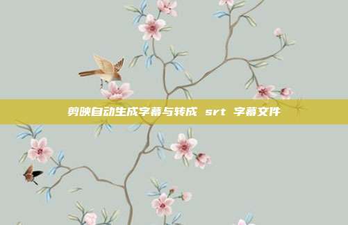 剪映自动生成字幕与转成 srt 字幕文件