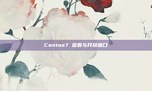 Centos7 查看与开放端口