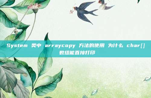 System 类中 arraycopy 方法的使用 为什么 char[] 数组能直接打印