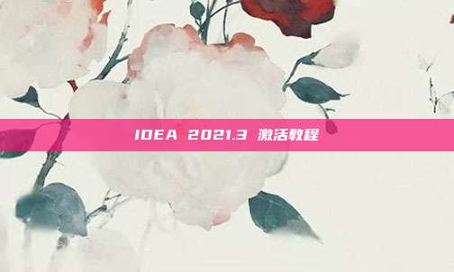 IDEA 2021.3 激活教程