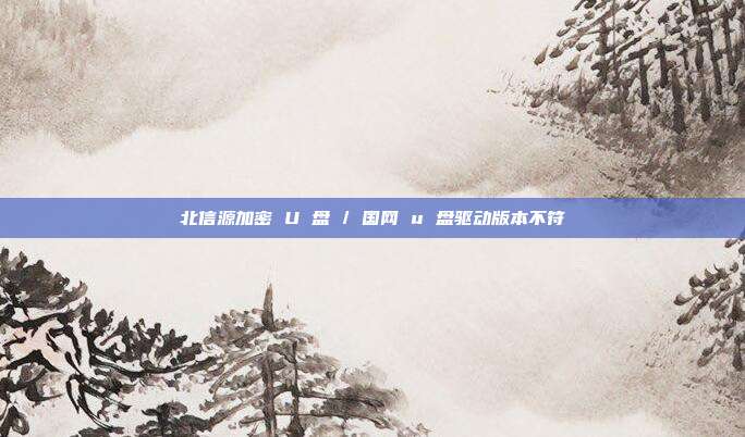 北信源加密 U 盘 / 国网 u 盘驱动版本不符
